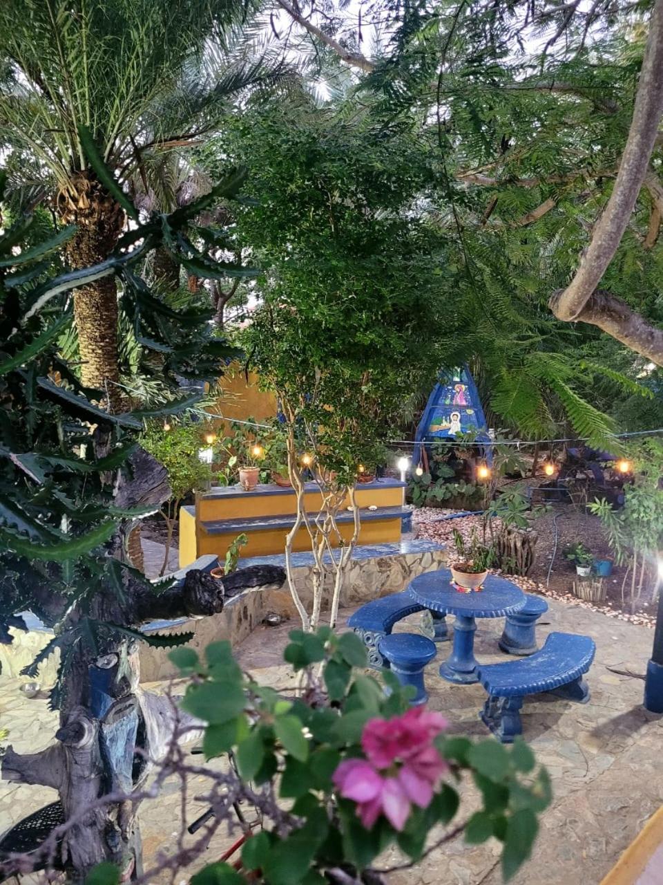 Hotel Steviewonderland Playa El Yaque Extérieur photo
