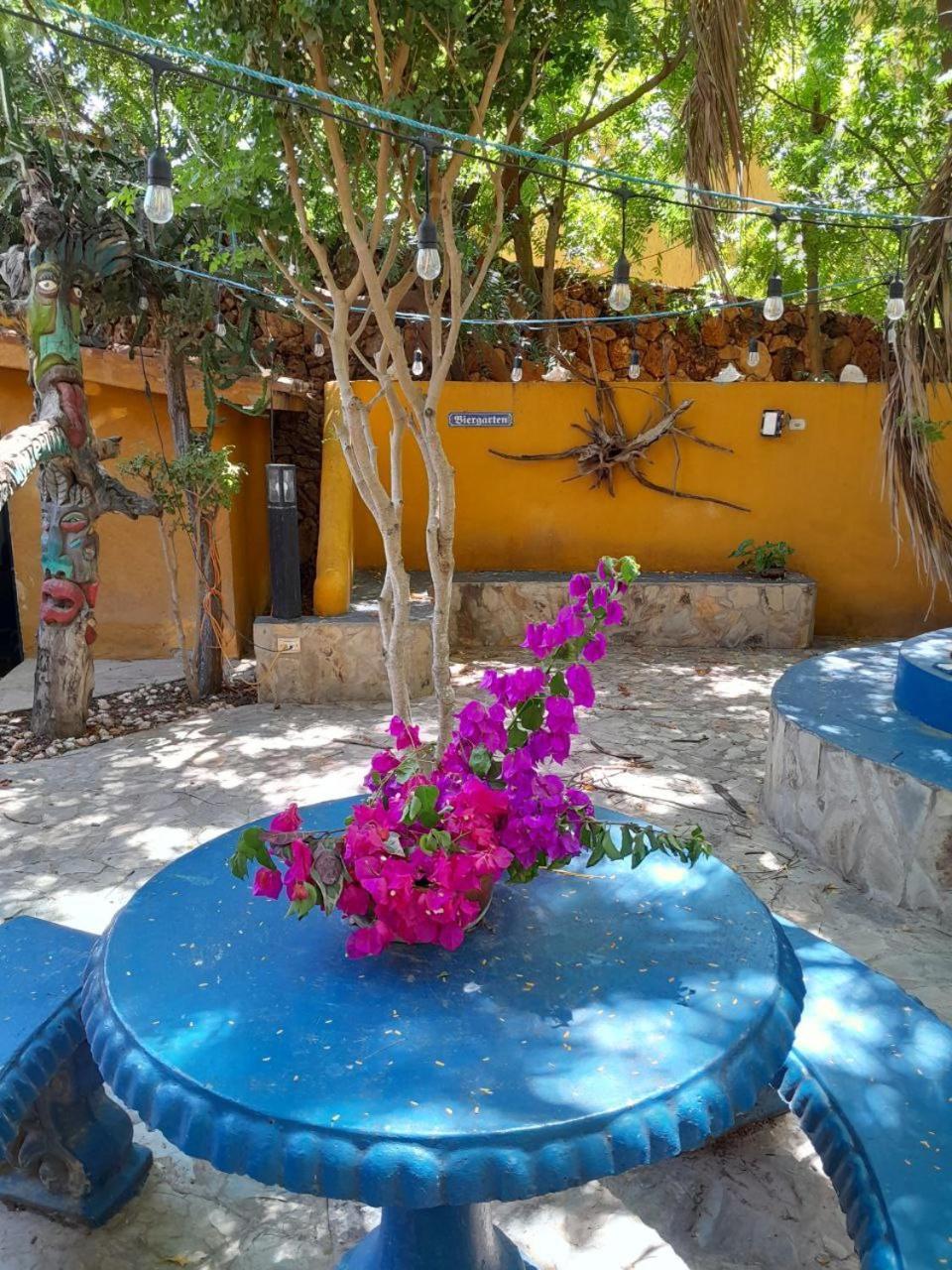Hotel Steviewonderland Playa El Yaque Extérieur photo